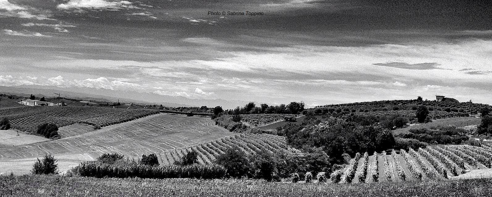 Paesaggio di Grana (9)