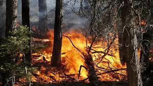 Revoca dello stato di massima pericolosita' per gli incendi boschivi